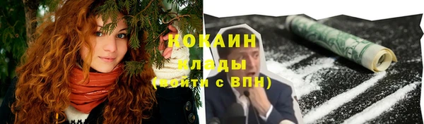сатива Дмитровск