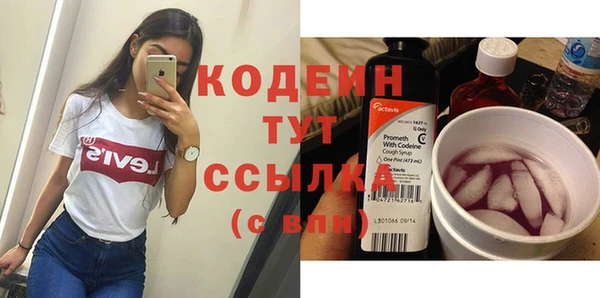 молекула духа Ельня