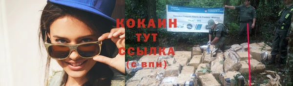сатива Дмитровск