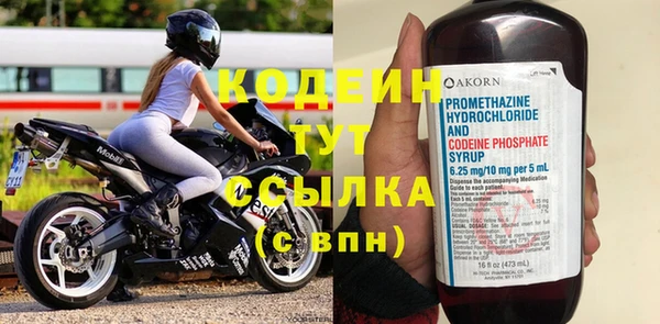 молекула духа Ельня