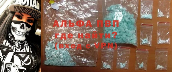 сатива Дмитровск