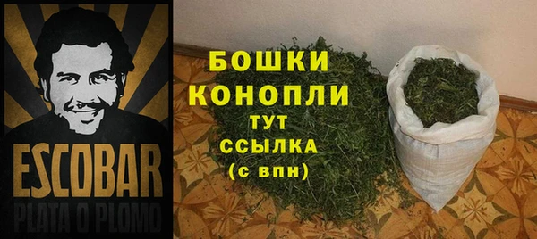 молекула духа Ельня