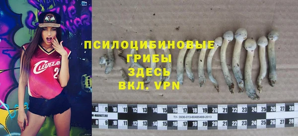 сатива Дмитровск
