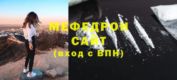 молекула духа Ельня