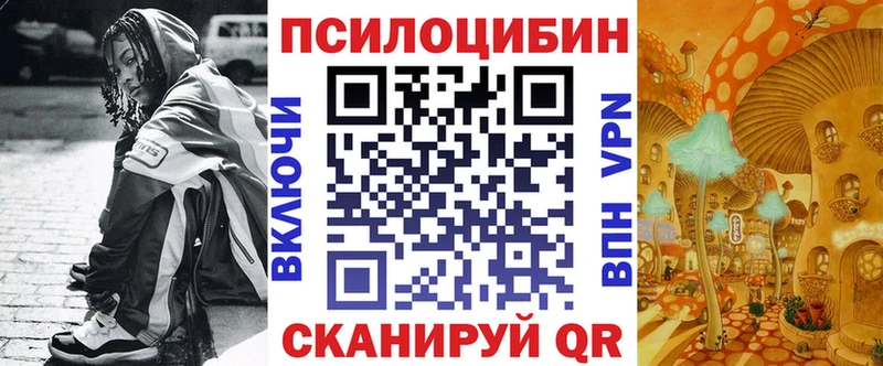 ОМГ ОМГ как войти Серпухов Галлюциногенные грибы Psilocybine cubensis